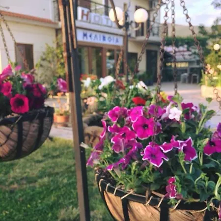 Hotel Melivoia Khora